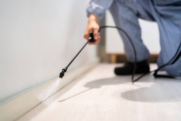 Licensed Pest Control service in On Top of the World Designated Place, FL - Show Me Pest Control
