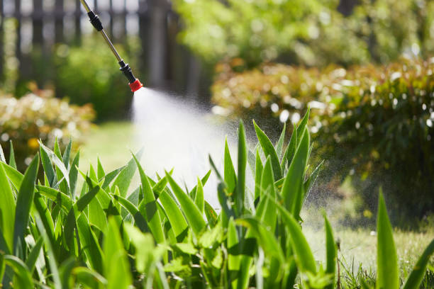 24/7 Emergency Ant Control experts in On Top of the World Designated Place, FL