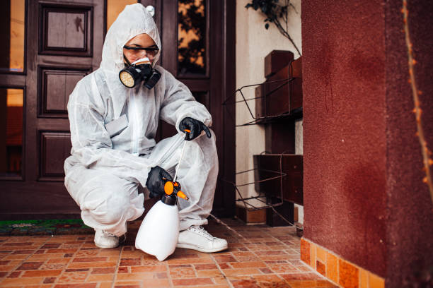 Reliable Ant Control contractor in On Top of the World Designated Place, FL by Show Me Pest Control